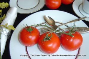 Red tomatoes