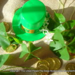 Shamrock 2