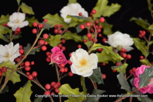 Christmas roses 6