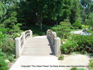 Bridge over Troulbed Water