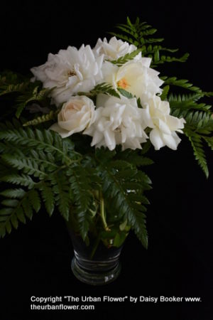 White roses 31