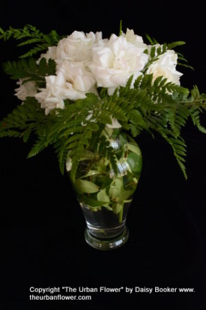 White roses 34