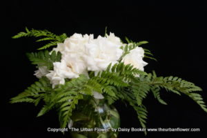 White roses 35