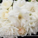 White roses 14