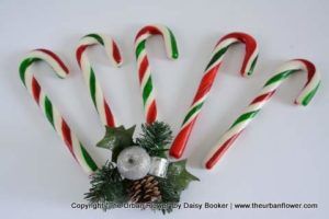 Candy canes 1