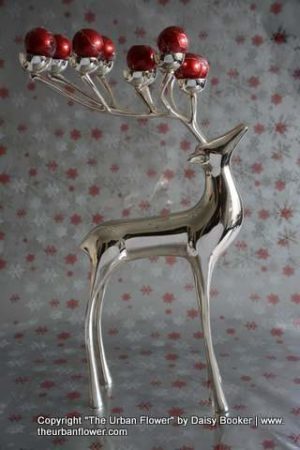 Reindeer 5